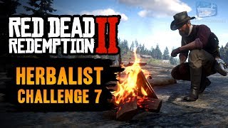 Red Dead Redemption 2 Herbalist Challenge 7 Guide  Craft and use 5 Special Miracle Tonics [upl. by Yrdnal]