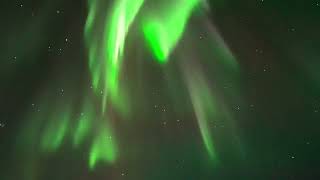 Yellowknife Northern Lights  Dancing Aurora  Moving lights  Northwest Territories  Canada [upl. by Otsugua43]