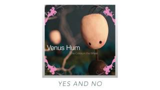 Yes And No Venus Hum [upl. by Peppel]