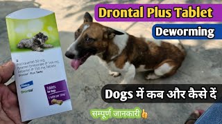 Drontal Plus Tablet dogs uses in Hindi  drontal plus Deworming tablet  Dog unique cafe [upl. by Gertrude]