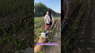 Weeder manufacturer Ploughing machine Orchard greenhouse management rotary tillershortsvideo short [upl. by Janeczka528]