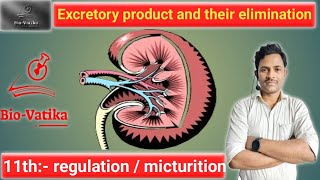 Bio vatika  class  11th  Excretory Product and Elimination   Regulation Micturition [upl. by Auqinimod150]