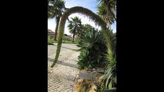 Area in and around the quotQuinta do Mar da Luzquot Resort Lagos  Al Garve  Portugal 2016 [upl. by Viviana332]