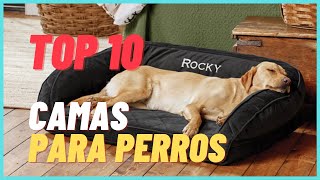 🐶 2021 Las 10 mejores CAMAS PARA PERROS y GATOS [upl. by Warrenne]