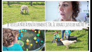 Vlog du 9 mai  Je teste la pâte à pinza fermentée 72h Il venait juste de naître [upl. by Zul]