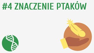 Znaczenie ptaków 4  Ptaki [upl. by Gilbertina]