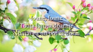 Mirabela Dauer  Ioane Ioane lyrics versuri karaoke [upl. by Becht]