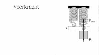 De veerkracht en de zwaartekracht [upl. by Ziguard454]