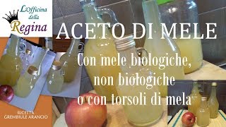 Aceto di mele  Con mele biologiche non biologiche o con torsoli di mela [upl. by Ayim]