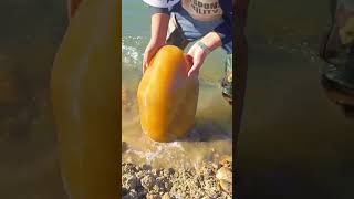 Este chico encontró una piedra increíble en el mar 👏 [upl. by Nealah]