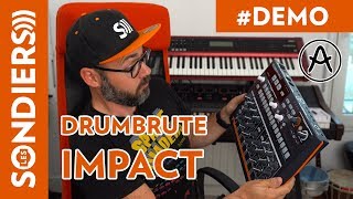 ARTURIA DRUMBRUTE IMPACT  Prise en main et démo [upl. by Hnao]