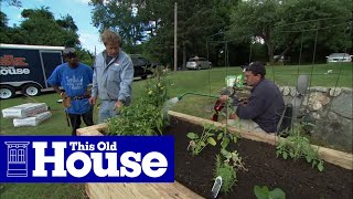 How to Plant a Raised Garden Bed  This Old House [upl. by Wira594]