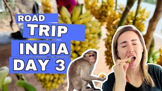 Watch this 10 minutes if you ever want to come to India 2024 Road Trip  Day 3 [upl. by Yael74]