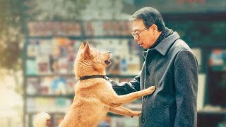 Hachi A Dogs Tale Full Movie Facts And Review  Richard Gere  Joan Allen [upl. by Yarb]