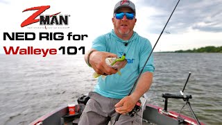 Ned Rig 101  How to Fish Zman TRD Ned Rig for WALLEYE [upl. by Ahsineg182]