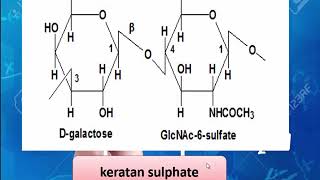 Mucopolysaccharides  Glycosaminoglycanes Structure et fonction des macromolécules [upl. by Radborne]