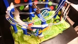 Physics Roller Coaster Project at Sandalwood Secondary School [upl. by Dennie703]