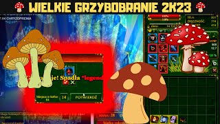 GRZYBOBRANIE 2023 W MARGONEM [upl. by Clintock]