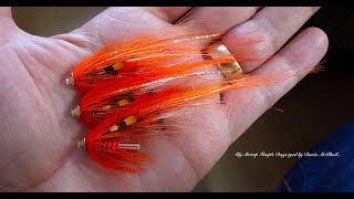 Tying an Ally Shrimp Temple Dog Salmon Fly by Davie McPhail [upl. by Baldwin]