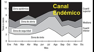 ELABORACIÓN DE CANAL ENDÉMICO [upl. by Billat]