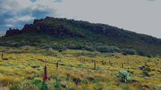 Aberdare Range National Park In Nyandarua County [upl. by Brandy]