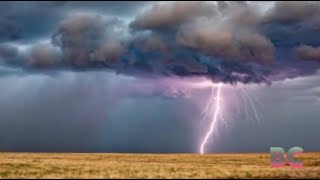 Breaking quotLightning strike kills Colorado rancher and 34 head of cattle amp More [upl. by Shelah720]