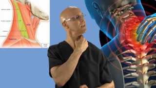 90Second Relief Technique for a Stiff Neck Wry Neck Torticollis  Dr Mandell [upl. by Greenman]