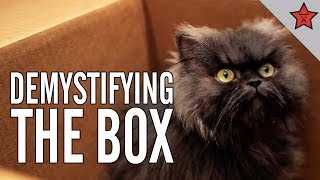 MeowBox Unboxing w my Cats [upl. by Einal873]