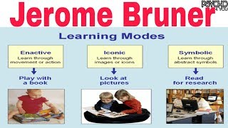 Bruners Cognitive development theory [upl. by Enirahtak]