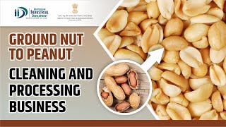 Ground Nut to Peanut Cleaning and Processing Business  Food Processing Business Idea [upl. by Angeli]