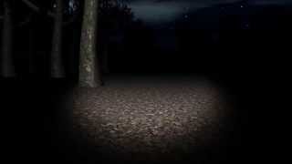 Slender Man Android IOS Windows Phone [upl. by Ellennej340]