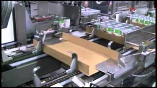 ARPACs EL2000 Tray Packing Machine and 25TW Tray Wrapper Integrated EndOfLine Packaging System [upl. by Favien574]