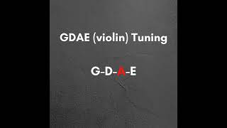 Bass Tuner GDAE Violin Tuning [upl. by Jasmina]