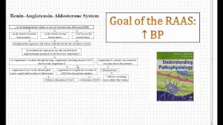 reninangiotensinaldosterone system RAAS [upl. by Ailehc]