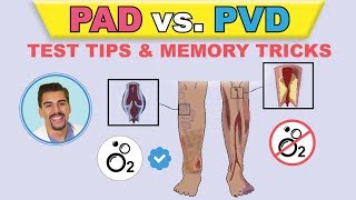 PAD vs PVI cartoon animation amp memory tricks peripheral arterial disease pathophysiology signs [upl. by Egerton]