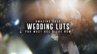 FREE Awesome Desaturated Wedding LUTs  Final Cut Pro X Premiere Pro CC Etc [upl. by Oderfla787]