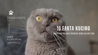 10 Fakta Menarik Tentang Kucing 🐈 facts animals cat [upl. by Knut662]