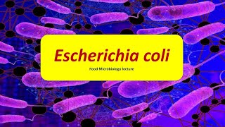 E coli  Escherichia coli  Infection  Intoxication  Pathology  Hindi  Food Microbiology [upl. by Ylloh723]