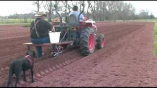 Planting Sweet Corn  Home Vegetable Garden [upl. by Brabazon]