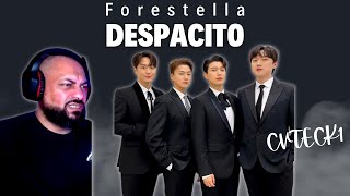 FIRST TIME REACTING TO  SUB 포레스텔라Forestella  Despacito 불후의 명곡2 전설을 노래하다Immortal Songs 2 [upl. by Otti741]