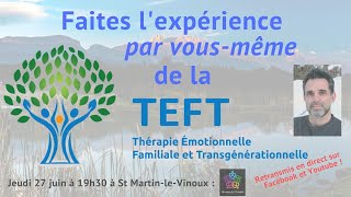 Présentation interactive de la TEFT  Thérapie Emotionnelle Familiale et Transgénérationnelle [upl. by Nonnelg635]