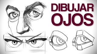 Cómo dibujar ojos EN CUALQUIER ESTILO  Anatomía y estructura del ojo para artistas [upl. by Ellevehc]