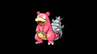 Pokemon Cries  080 Slowbro [upl. by Hairakcaz]