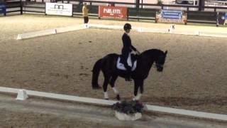 Grand Prix Freestyle Dressage Warm Up [upl. by Chally]