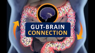 Digestive Issues and Diseases and even Mood Linked to Enzymes From Gut Bacteria [upl. by Nevaj847]