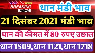 धान मंडी भाव क्या रहेंगे आजधान की कीमत में 80 रुपए की बढ़ोतरीToday Mandi Bhav basmati or 1509 [upl. by Sabino945]