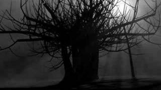 Scary Tree Animation [upl. by Ellinet]