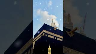 New beautiful naat islamicstatus fpy viralvideo ytshorts rabiulawal 2024 muhammadﷺ [upl. by Ognimod32]