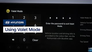 Using Valet Mode  Bluelink®  Hyundai [upl. by Naujad99]