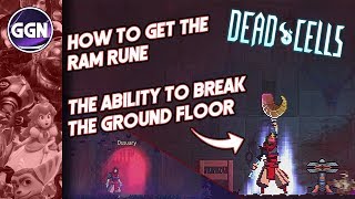 How to get the Ram Rune  The Ability to break the Ground Floors  Dead Cells [upl. by Olaznog916]